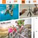 50-in-1 Action Camera Accessories Kit for GoPro, Insta360, DJI, Xiaomi, APEMAN, AKASO, Campark - Upgraded Bundle for Hero 11/10/9/8/7/6/5/4, Max, Fusion - Buy Online on GoSupps.com
