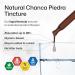 Chanca Piedra Tincture - Natural Kidney & Gallbladder Support - Vegan Alcohol & Sugar Free 2 Fl Oz - Buy Online on GoSupps.com