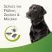 Beaphar Tick & Flea Protection Collar for Dogs - Waterproof Reflective Collar Effective Tick & Flea Defense International Shipping - Buy Online on GoSupps.com