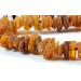 Elegant Baltic Amber Dog & Cat Necklace - Flea & Tick Protection Collar with Leather Clasp | Anti-Tick & Vermin Safety for Pets - Buy Online on GoSupps.com