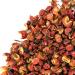 Poivre de Sichuan 100% Naturel - Piment de Sichuan Grains Entier Poivre Sauvage Baies Rouges Sichuan - NCA (50) 50.0 Grammes - Buy Online on GoSupps.com