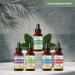 Kids Focus Formula Liquid Extract - Organic Ashwagandha & Moringa Supplement for Brain Support - Vegan 1oz Bottle - Herbal Goodness - Buy Online on GoSupps.com
