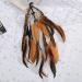 Hippie Feather Hair Extension Clip - Bohemian Headband for Women Festival Headdress (Brown + Pheasant Feather) - Buy Online on GoSupps.com