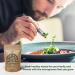 Arugula Sprouting & Microgreens Seeds - Non-GMO Heirloom Kit | 1lb Bulk Resealable Bag for Planting & Growing in Soil, Coconut Coir, Garden, Aerogarden, Hydroponic - Arugula Microgreen Seeds - Buy Online on GoSupps.com