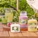 Yankee Candle Camellia Blossom - Medium Glass Fragrance Candle | 75 Hour Burn Time | Garden Hideaway Collection - Buy Online on GoSupps.com