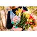 Natural Hair Perfume Clara 2 FL OZ - Buy Online on GoSupps.com