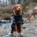 Hurtta Monsoon Dog Raincoat - Waterproof Dog Jacket with Reflectors | Black 90 cm (35 in) - Ideal for Rainy Days - Buy Online on GoSupps.com