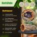 Cork Bark Tube 30 cm (Rodent Reptile Vivarium) cork wood tree oak 11-14 cm | cleaned & sanitised - Buy Online on GoSupps.com