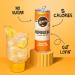 Remedy Kombucha Sugar-Free Organic Drink Sparkling Low Calorie Gut Health Beverage - Ginger Lemon - 355 mL Can 24-Pack Ginger Lemon 355ml (Pack of 24) - Buy Online on GoSupps.com