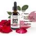Nutroliq Vitamin B12 Liquid Drops 5000mcg Methylcobalamin Supplement for Energy & Immune Support - Vegan Formula - 60ml - Buy Online on GoSupps.com