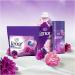 Lenor Pods Amethyst Flower Dream | Long-lasting Color Detergent - 104 Wash Capsules for Deep Clean & Freshness | International Shipping - Buy Online on GoSupps.com