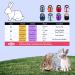 Adjustable Soft Harness & Elastic Leash for Rabbits | Niteangel - Buy Online on GoSupps.com