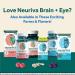 NEURIVA Brain + Eye Supplement with Lutein, Vitamins A C E, Zinc | Memory, Focus & Eye Health | 30 ct Capsules - Buy Online on GoSupps.com