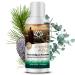 Nordholz sauna infusion choose from 48 varieties 100ml - sauna infusion agent #35 royal infusion Special & natural sauna fragrance for intensive & relaxing moments - perfect sauna accessories