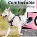 Eagloo Large Dog Harness - Adjustable Anti-Train Control Harness for Labrador - Reflective Strips Pink - 1 Pack - Buy Online on GoSupps.com