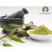 AYURVEDASHREE Neem Leaf Powder 100 Gm | Wild Crafted Azadirachta Indica Supplement | Skin, Hair, and Detox Support | Non GMO - Gluten Free - Vegan - Buy Online on GoSupps.com