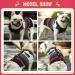 Cozy Christmas Dog Sweater | Warm Winter Knitted Pet Sweater | Reindeer Design for XS Dogs | Perfect Holiday Gift - Buy Online on GoSupps.com