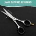 Asipro Professional Hair Scissors 6.5 | Sharp High-Quality Hair Cutting Scissors for Men Women & Pets - Includes Case - Buy Online on GoSupps.com