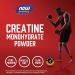 NOW Foods Sports Creatine Monohydrate Powder 8 oz - Pure & Effective Muscle Fuel - Buy Online on GoSupps.com