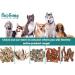 PawGang 100% Natural Rabbit Ears with Fur 500g - Healthy Hypoallergenic Dog Treats - Grain Free and Tasty Chews - EU Sourced - Bulk Bag - Buy Online on GoSupps.com