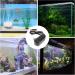 UEETEK LED Power Adapter AC110-240V DC12V 1A for Aquarium Fish Tank Light - US Plug - Buy Online on GoSupps.com
