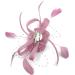 Pink Feather Beaded Beak Clip Fascinator for Weddings, Races, Royal Ascot | Women's Hair Accessory - Buy Online on GoSupps.com