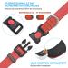 Haapaw Reflecting Dog Collar - Padded Neoprene Breathable Nylon for Small & Medium Dogs - Red (M 1-Pack) - Buy Online on GoSupps.com