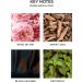 NEST New York Rose Noir & Oud Liquid Hand Soap 10 Fl Oz - Buy Online on GoSupps.com