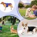 Small Dog Back Brace Spinal Support | Pet Support and Rehab Harness Soft Hip Leg Support D-Ring and Reflective Strips Back Protector Support Helps Hurt Relief Dogs Back - Buy Online on GoSupps.com