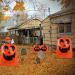 DERAYEE 6Pcs Halloween Pumpkin Lawn Bags - Large Jack O Lantern Leaf Bags for Outdoor Halloween Yard Decorations - Buy Online on GoSupps.com