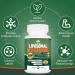 3250 MG Liposomal Glutathione Supplement | Enhanced Antioxidant with Resveratrol & Quercetin | Immune Support Gluten Free Non-GMO - 120 Capsules - Buy Online on GoSupps.com