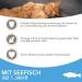IAMS Dry Cat Food with Fish - 10kg for Cats Aged 1-6 Years | Premium Sea Fish Formula International Shipping Available - Buy Online on GoSupps.com