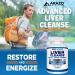 Liver Cleanse Detox & Repair Formula  Milk Thistle Herbal Support Supplement: Silymarin  Beet  Artichoke  Dandelion  Chicory Root  Arazo Nutrition - Buy Online on GoSupps.com