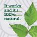 Marie's Original Poison Ivy Soap Bar - 100% Natural Anti-Itch Treatment for Poison Ivy, Oak, Sumac - Soothes Rashes - 2.9oz - Buy Online on GoSupps.com