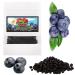 Bite & Delight 200g Crunchy Delicious and Healthy Freeze Dried Blueberries Ideal for a Snack or Balanced Diet Doypack