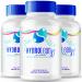 IDEAL PERFORMANCE HydroleanXT Capsules HydroleanXT Supplement Keto Pills Officials HydroleanXT Capsules Reviews (3 Pack)