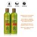 Peter Lamas Energizing Biotin & Stem Cells Shampoo & Conditioner - Hair Regrowth for Men and Women | Vegan, Paraben & Sulfate Free | Grow Thicker, Fuller, Healthier Hair - Buy Online on GoSupps.com