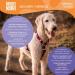 Max & Molly Missy Pop Dog Harness - Odorless Neoprene Comfort & Loss Protection | Shop Internationally - Buy Online on GoSupps.com