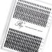 Riya Lash Clusters DIY 20D-30D Eyelash Extensions 240pcs Clusters Lashes D Curl LASH Volume Individual Lashes Eyelash Clusters Extensions Wispy Lashes Cluster DIY at Home (20D-30D 0.07D 9-15Mixed)
