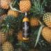 Heartbeat Hot Sauce - Pineapple Habanero 177ml - Small Batch & Handmade Vegan Preservative Free Featured on Hot Ones Season 10 (2 Bottles) 177 ml (Pack of 2) - Buy Online on GoSupps.com