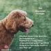 PupRepublic Fast Acting dog diarrhea treatment - Digestive Disorders - More Effective than Kaolin - Sickness & Allergy Relief for Dogs of All Breeds & Sizes 250 ml (Pack of 1) - Buy Online on GoSupps.com