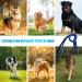 DOKI Reflective Double-Sided Nylon Dog Lead with Padded Handle - 1.2m Strong Leash for Small, Medium, Large Dogs (3.9FT Blue) - Buy Online on GoSupps.com