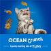 Friskies Party Mix Cat Treats Ocean Crunch with Real Ocean Whitefish - 454 g Cannister (1 Pack) 454 g (Pack of 1) - Buy Online on GoSupps.com