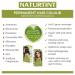 Naturtint 8C Copper Blonde Hair Colour - Ammonia-Free Vegan Formula - Buy Online on GoSupps.com