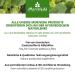 Moringa Oil 300ml - Cold Pressed Skin & Hair Care | Anti-Aging & Wound Care | Premium Food & Massage Oil from Moriveda - Shop Now! - Buy Online on GoSupps.com