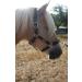 JF-Reitsport Cavesson Pro 2021 - 4-Way Adjustable Soft & Shock-Absorbing Padded for Warmbloods | International Shipping Available - Buy Online on GoSupps.com