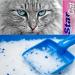 Buy Star Cat Silicate Hygiene Cat Litter 30L | PowerCAT Magic Power Clean Crystals - Instant Absorption & Antibacterial Effect - Buy Online on GoSupps.com