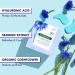 Klorane Smoothing & Soothing Eye Masks with Cornflower & Hyaluronic Acid - 7 ct - Buy Online on GoSupps.com