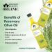 Blessfull Healing Cold Pressed Rosemary Infused Oil for Healthy Cooking Skin Glow 250 ml / 8.45 fl oz Pack of 1 - Buy Online on GoSupps.com