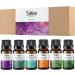Essential Oils for Diffusers - Set of 6 Tea Tree, Rosemary, Lavender, Peppermint, Orange, Eucalyptus - Perfect Starter Gift Kit - Buy Online on GoSupps.com